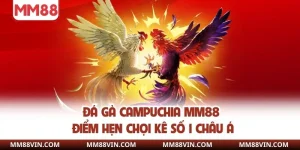Đá Gà Campuchia MM88 - Điểm Hẹn Chọi Kê Số 1 Châu Á 10 Đá gà campuchia