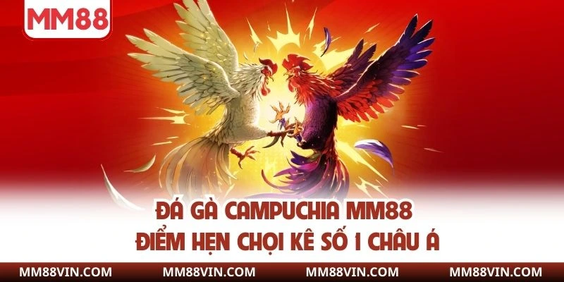 Đá Gà Campuchia MM88 - Điểm Hẹn Chọi Kê Số 1 Châu Á 1 Đá gà campuchia
