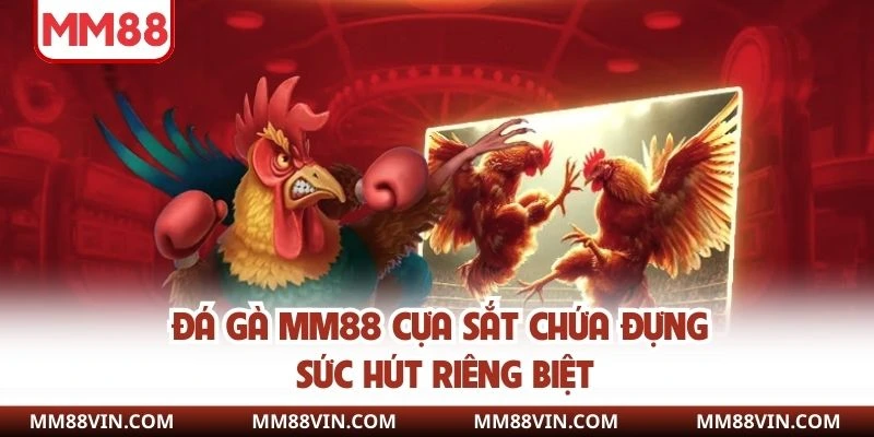 Đá Gà MM88 - Thổi Bùng Đam Mê Qua Từng Trận Chọi Kê Nảy Lửa 2 Đá gà MM88 cựa sắt chứa đựng sức hút riêng biệt