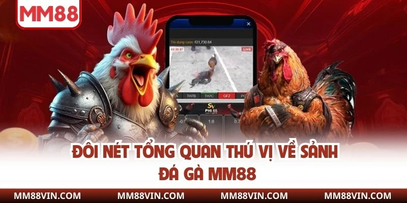 Đá Gà MM88 - Thổi Bùng Đam Mê Qua Từng Trận Chọi Kê Nảy Lửa 1 Đôi nét tổng quan thú vị về sảnh đá gà MM88